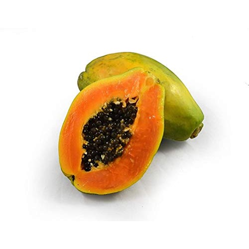 Usa Organic Hawaiian Solo Papaya 20-160 Seeds