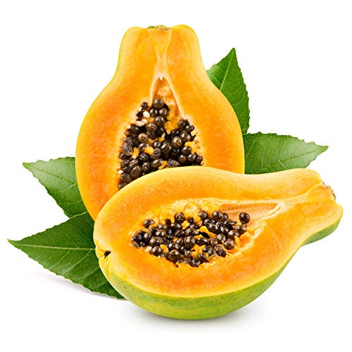 Usa Organic Hawaiian Solo Papaya 20-160 Seeds