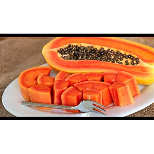 Usa Organic Red Papaya 20-160 Seeds