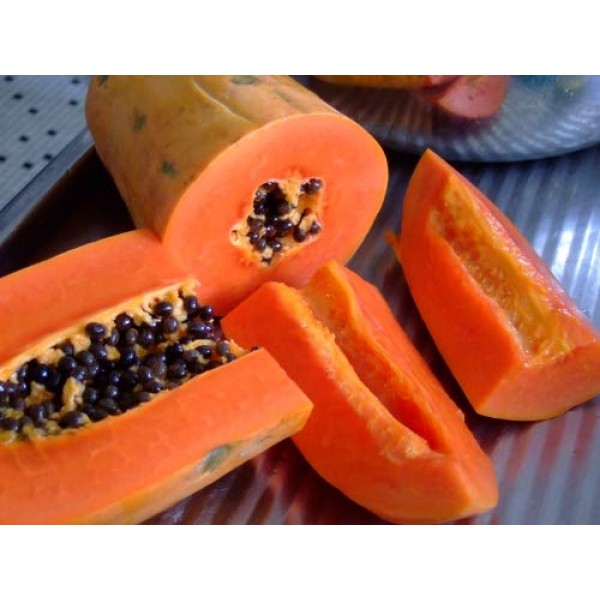 USA Organic Red Papaya 20-160 Seeds