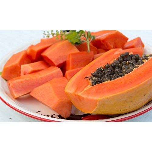 Usa Organic Red Papaya 20-160 Seeds