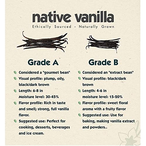 Grade A Bourbon Vanilla Beans – Native Vanilla – 10 Premium Gour