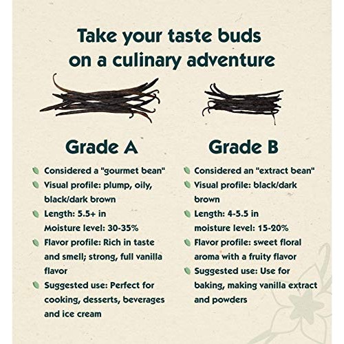 Native Vanilla Grade A Tahitian Vanilla Beans – 25 Premium Gourm