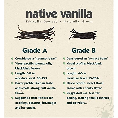 Native Vanilla Grade A Tahitian Vanilla Beans – Premium Gourmet