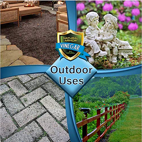 30% Vinegar Pure Natural & Safe Industrial Strength Concentrate ...