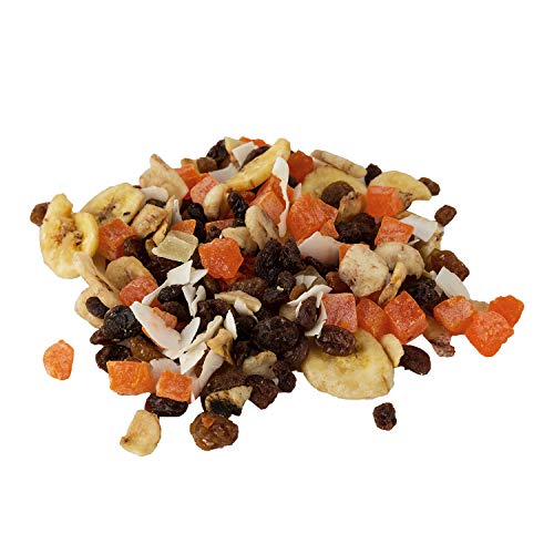 Natural Cravings Rainforest Trail Mix With Fruit- Healthy Dried