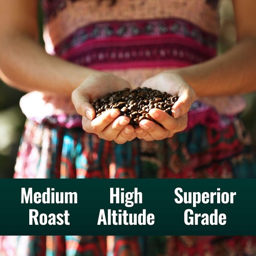 Natural Force Organic Mold Free Coffee, High CGA Coffee, Mycotoxin Free, Low Acidity, Incredible Taste & Aroma, Whole Bean Medium Roast, 12 oz