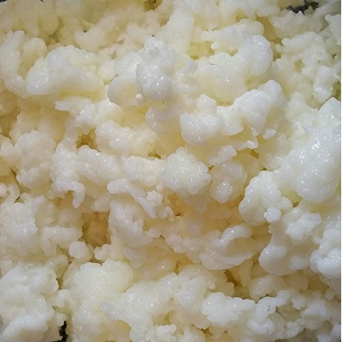Milk Kefir Grains Live Raw Organic Probiotics Bulgaros