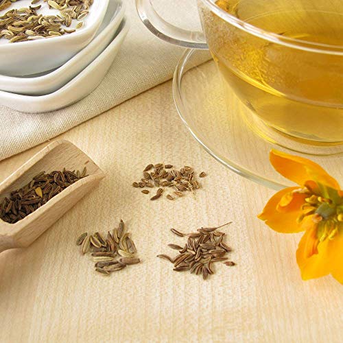 Fennel Seed Whole 8 Ounces, Gluten Free Non Gmo Non Irradiated,