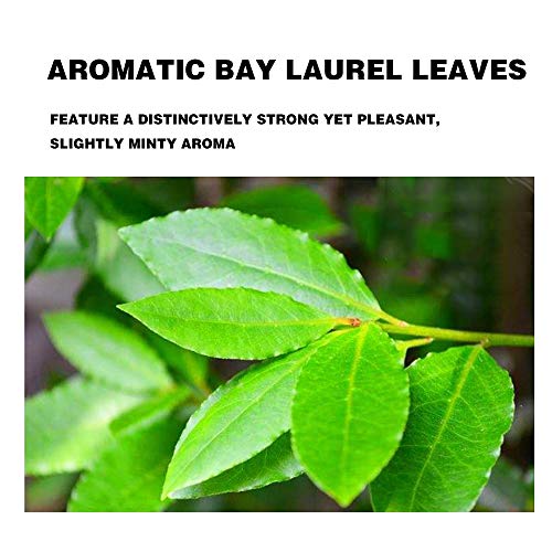 Natural Plus Green Whole Bay Leaves 2 Ounces, Whole Bay Leaf Dri
