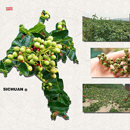 Premium Szechuan Green Peppercorns Sichuan Whole Peppercorns4 O