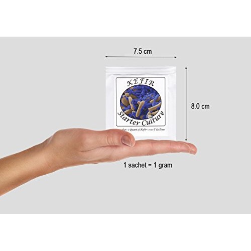 Kefir Starter Culture - Pack Of 5 Freeze Dried Sachets