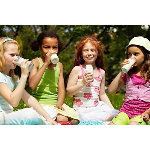 Kefir Starter Culture - Pack Of 5 Freeze Dried Sachets