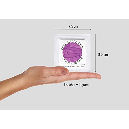 Yogurt Starter Cultures - Pack Of 12 Freeze-Dried Culture Sachet