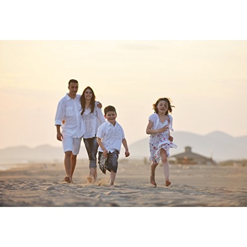 Yogurt Starter Cultures - Pack Of 12 Freeze-Dried Culture Sachet