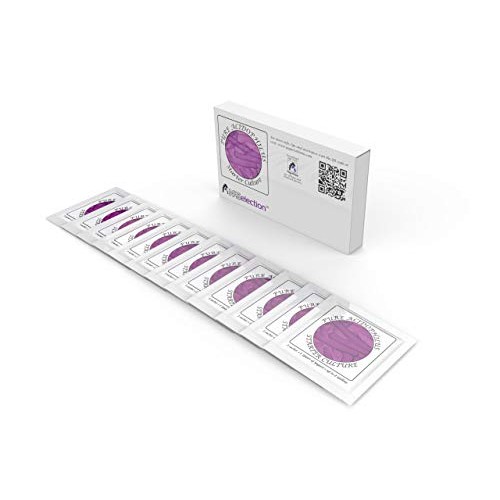 Yogurt Starter Cultures - Pack Of 12 Freeze-Dried Culture Sachet