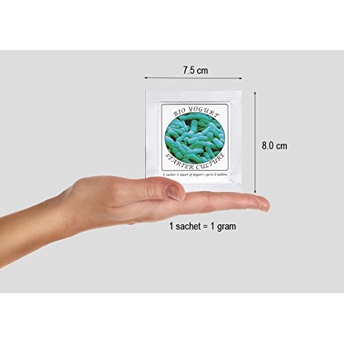 Yogurt Starter Cultures - Pack Of 3 Freeze-Dried Culture Sachets