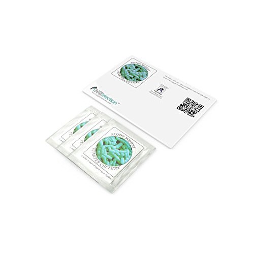 Yogurt Starter Cultures - Pack Of 3 Freeze-Dried Culture Sachets