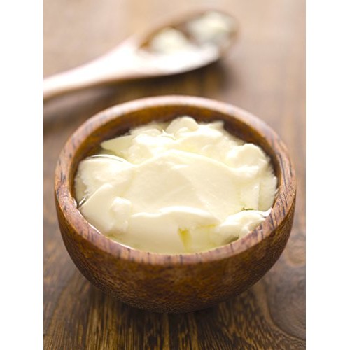 Yogurt Starter Cultures - Pack Of 3 Freeze-Dried Culture Sachets