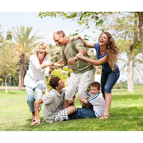 Yogurt Starter Cultures - Pack Of 3 Freeze-Dried Culture Sachets