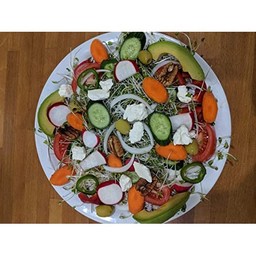 Salad Mix Sprouting Seeds for Sprouts and Microgreens. Non-GMO. ...