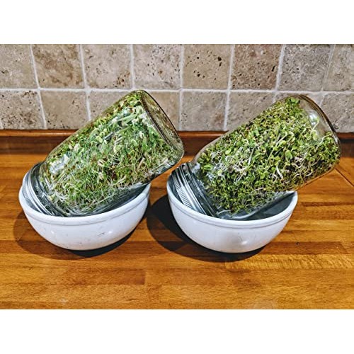 Salad Mix Sprouting Seeds for Sprouts and Microgreens. Non-GMO. ...