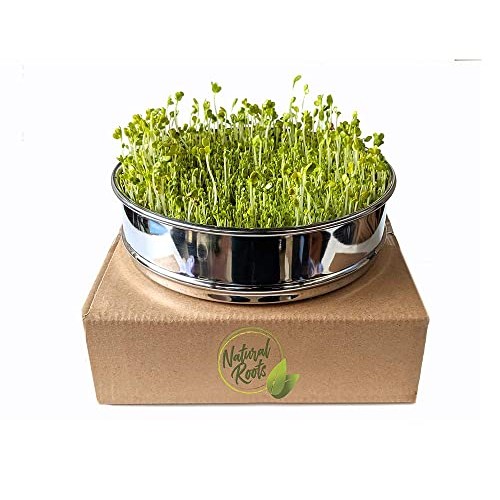 Salad Mix Sprouting Seeds for Sprouts and Microgreens. Non-GMO. ...