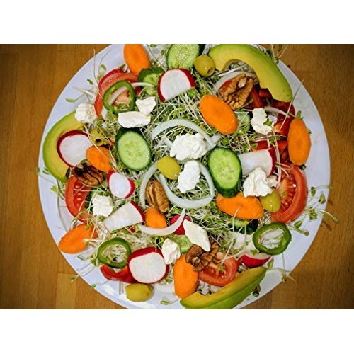 Variety Pack Sprouting Seeds Broccoli, Alfalfa, Radish, Mung Bea...