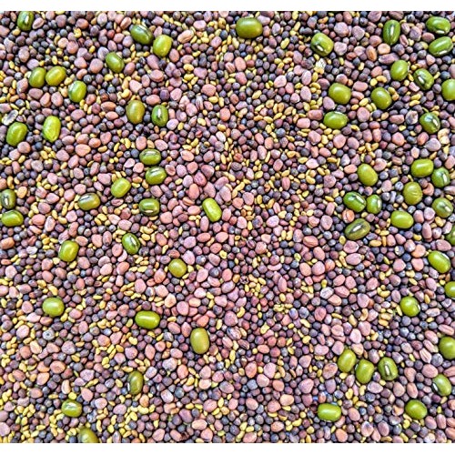 Variety Pack Sprouting Seeds Broccoli, Alfalfa, Radish, Mung Bea...