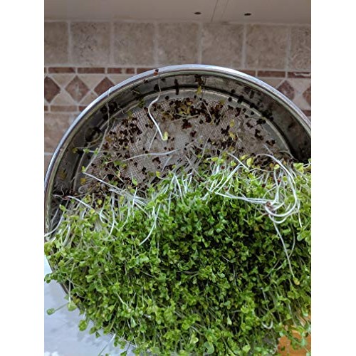Variety Pack Sprouting Seeds Broccoli, Alfalfa, Radish, Mung Bea...