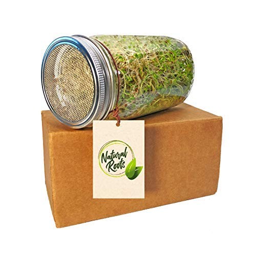 Variety Pack Sprouting Seeds Broccoli, Alfalfa, Radish, Mung Bea...