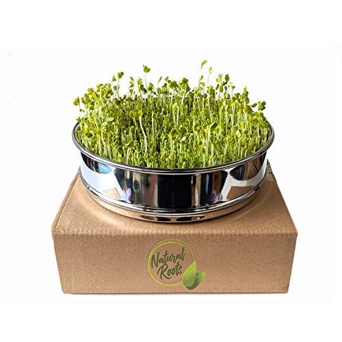 Variety Pack Sprouting Seeds Broccoli, Alfalfa, Radish, Mung Bea...