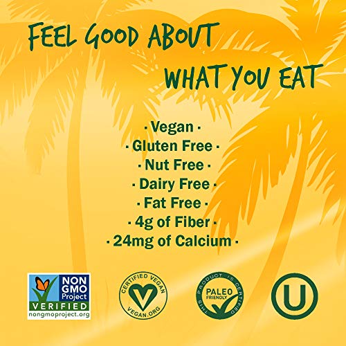 Natural Sins Baked Pineapple Chips | 1 Ounce Bag Pack Of 6 | V