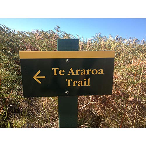 East Cape Te Araroa Premium Manuka Honey Umf Certified 15+-Mgo 5