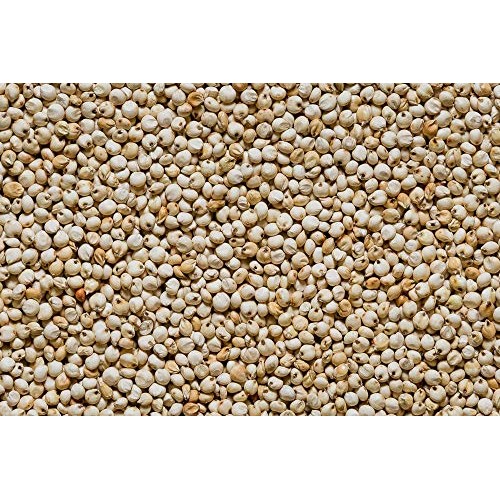 Popped Sorghum Avocado Oil &Amp; Sea Salt 5 Oz, 6 Pack A Snack Healt