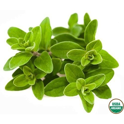 Organic Marjoram Leaf - Origanum Majorana Loose Leaf C/S 100% Fr