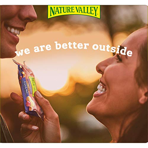 General Mills Nature Valley Chewy Trail Mix, 7.4 Oz