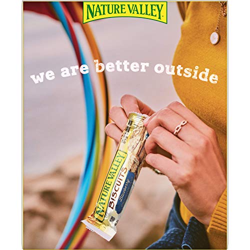 Nat Val Bkfst Bsc Breakfast Biscuit, Blueberry, 8.85 Ounce Pack