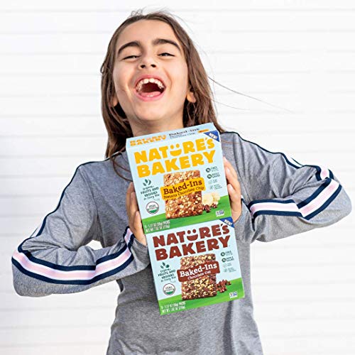 Natures Bakery Baked-Ins Bars Banana Chocolate Chip, Organic Fr