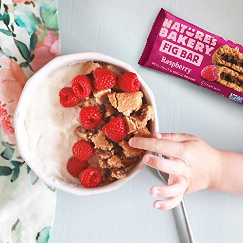 Natures Bakery Stone Ground Whole Wheat Fig Bar 24 Twin Pack 24