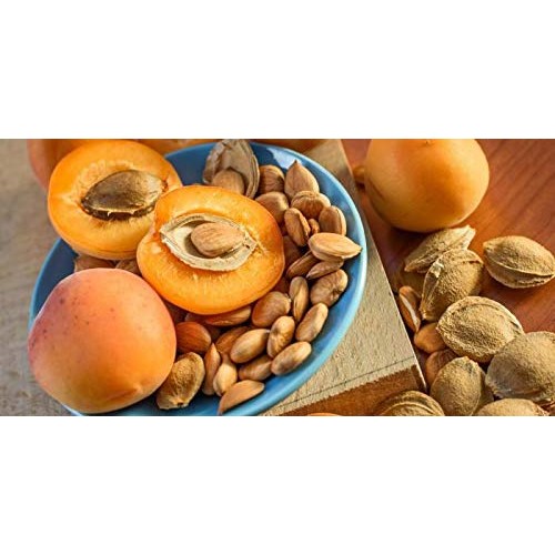 Bitter Apricot Kernels, 1 Pound, 750 Raw Apricot Seeds, 100% All