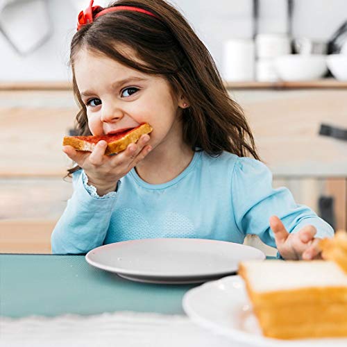 Natures Hollow, Sugar-Free Apricot Jam Preserves, Non Gmo, Keto