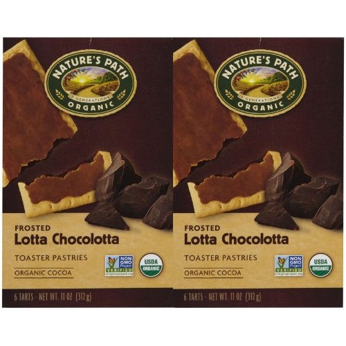 Natures Path Frosted Toaster Pastry - Chocolate - 11 Oz - 6 Ct
