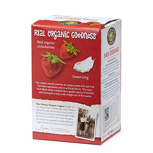 Nature’S Path Frosted Berry Strawberry Toaster Pastries, Healthy