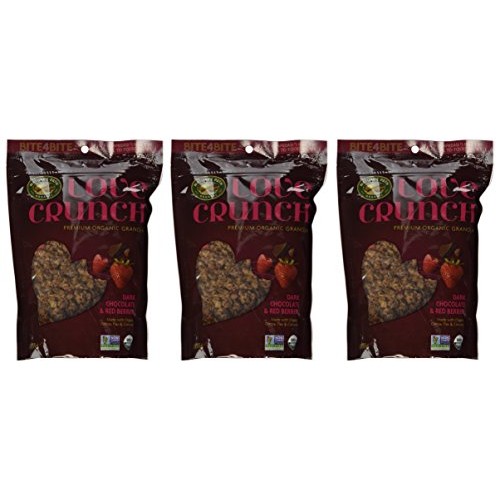 Natures Path Love Crunch Organic Granola Dark Chocolate And R