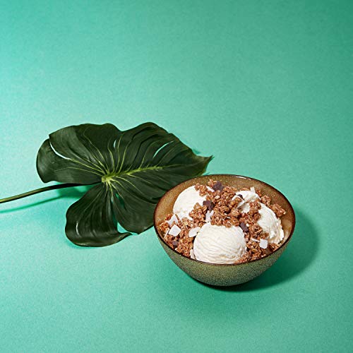 Natures Path, Organic Granola, Dark Chocolate Macaroon, 1 Ct, 1