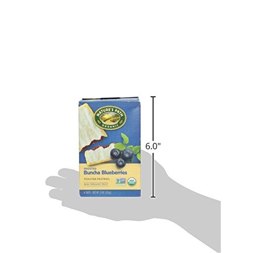 Natures Path, Organic Toaster Pastries, Blueberry Frosted, 6 Ct