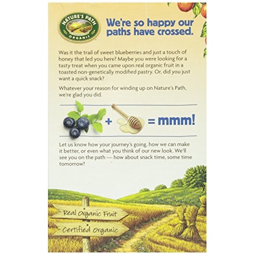 Natures Path, Organic Toaster Pastries, Blueberry Frosted, 6 Ct