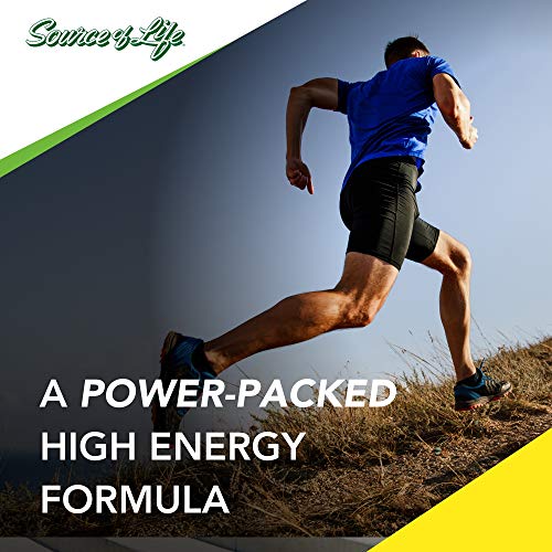 Naturesplus Source Of Life Energy Shake - 2.2 Lbs Multivitamin,