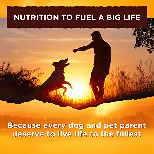 Natures Recipe Grain Free Dry Dog Food, Chicken, Sweet Potato &Amp;